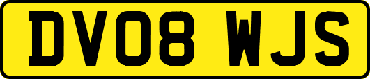 DV08WJS