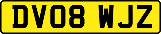 DV08WJZ