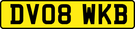 DV08WKB