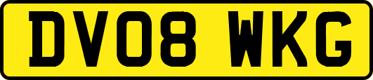 DV08WKG