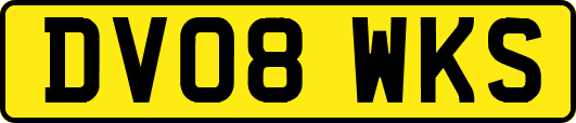 DV08WKS