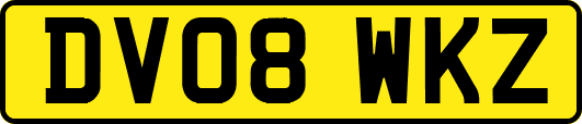 DV08WKZ