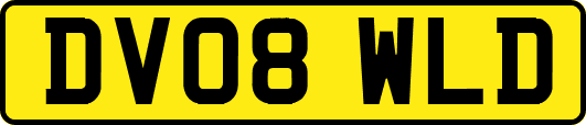 DV08WLD