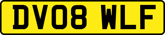 DV08WLF