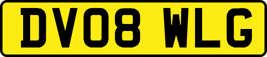 DV08WLG