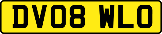 DV08WLO