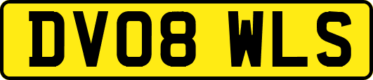 DV08WLS