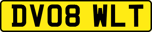 DV08WLT