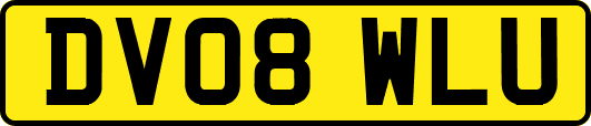 DV08WLU