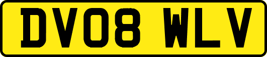 DV08WLV