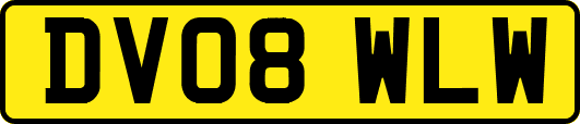 DV08WLW