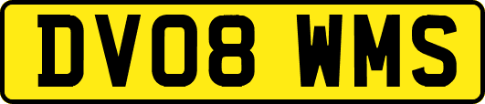 DV08WMS