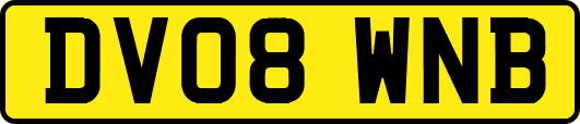 DV08WNB