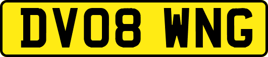 DV08WNG