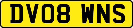 DV08WNS