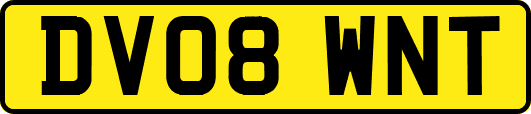 DV08WNT