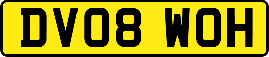 DV08WOH