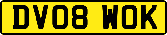 DV08WOK