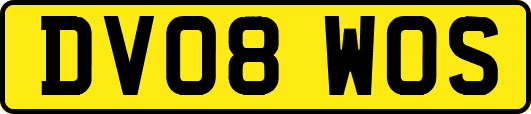 DV08WOS