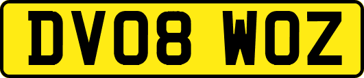 DV08WOZ