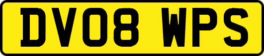 DV08WPS