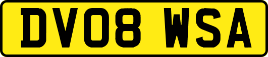 DV08WSA