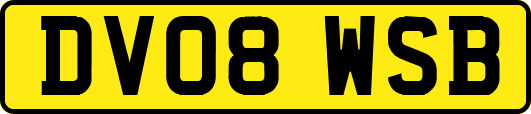 DV08WSB