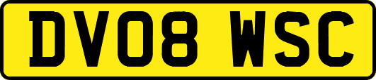 DV08WSC
