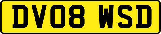 DV08WSD