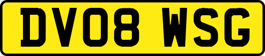 DV08WSG