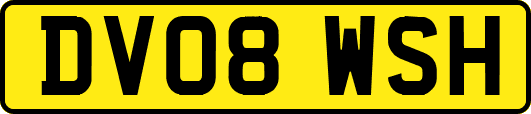 DV08WSH