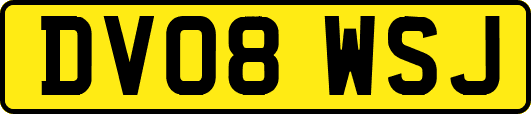 DV08WSJ