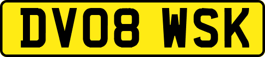 DV08WSK