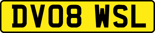 DV08WSL