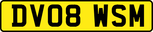 DV08WSM