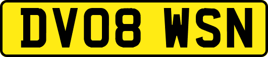 DV08WSN