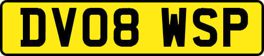 DV08WSP