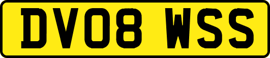 DV08WSS