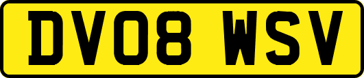 DV08WSV