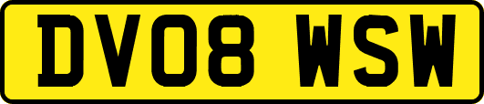 DV08WSW