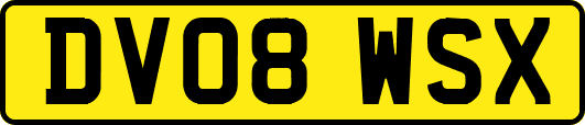 DV08WSX