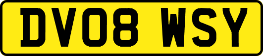 DV08WSY