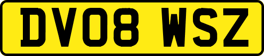 DV08WSZ