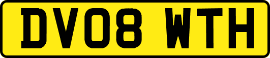 DV08WTH