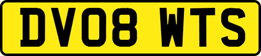 DV08WTS