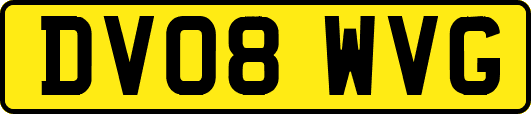 DV08WVG