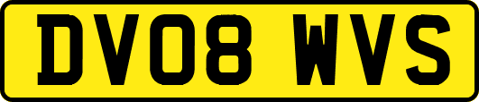 DV08WVS