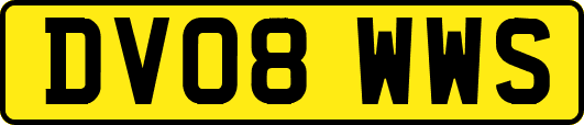 DV08WWS