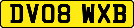 DV08WXB