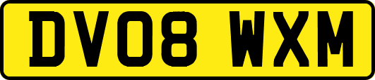 DV08WXM